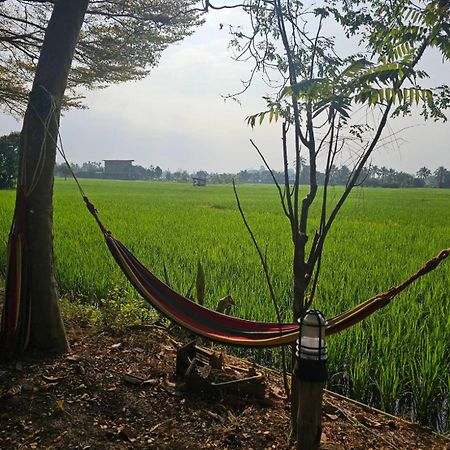 Tung Tong Homestay & Camping Mae Rim Exterior photo