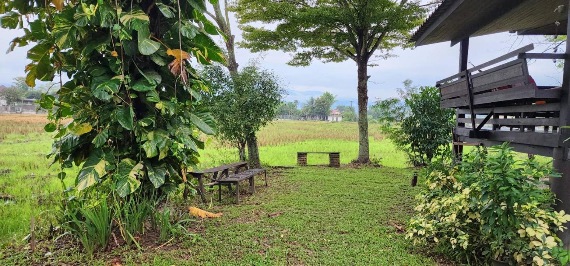 Tung Tong Homestay & Camping Mae Rim Exterior photo