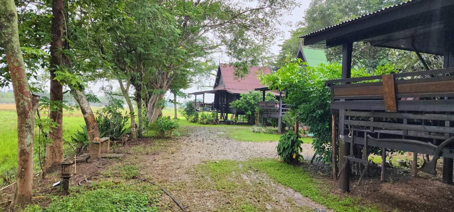 Tung Tong Homestay & Camping Mae Rim Exterior photo