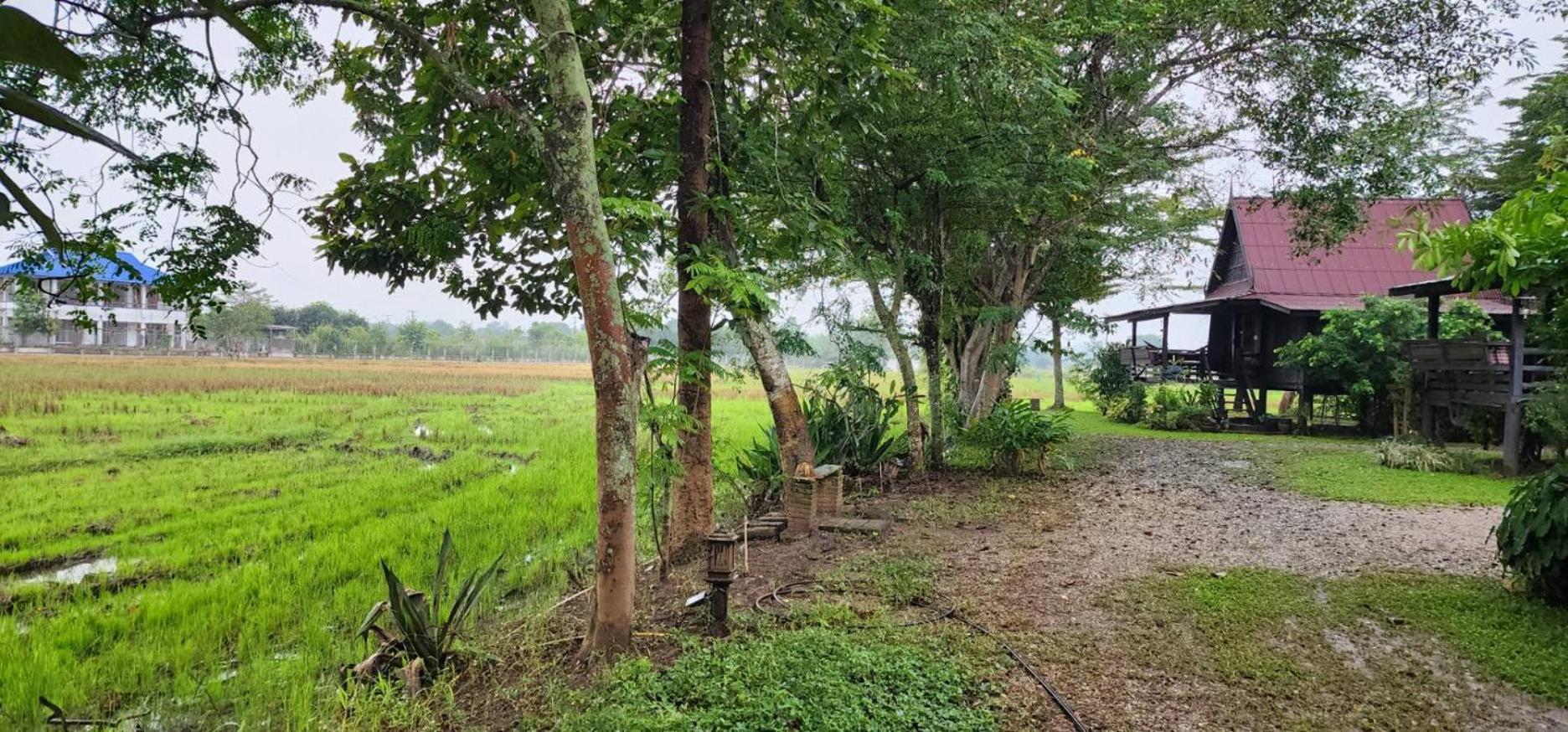 Tung Tong Homestay & Camping Mae Rim Exterior photo