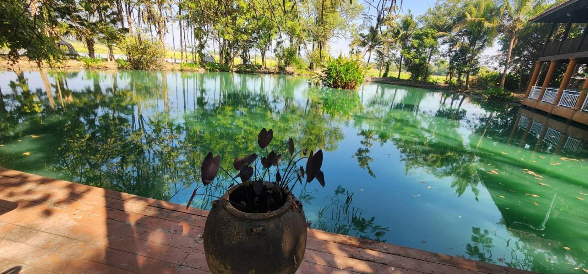 Tung Tong Homestay & Camping Mae Rim Exterior photo