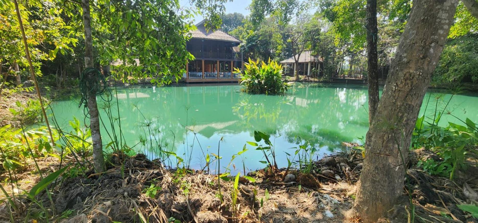Tung Tong Homestay & Camping Mae Rim Exterior photo