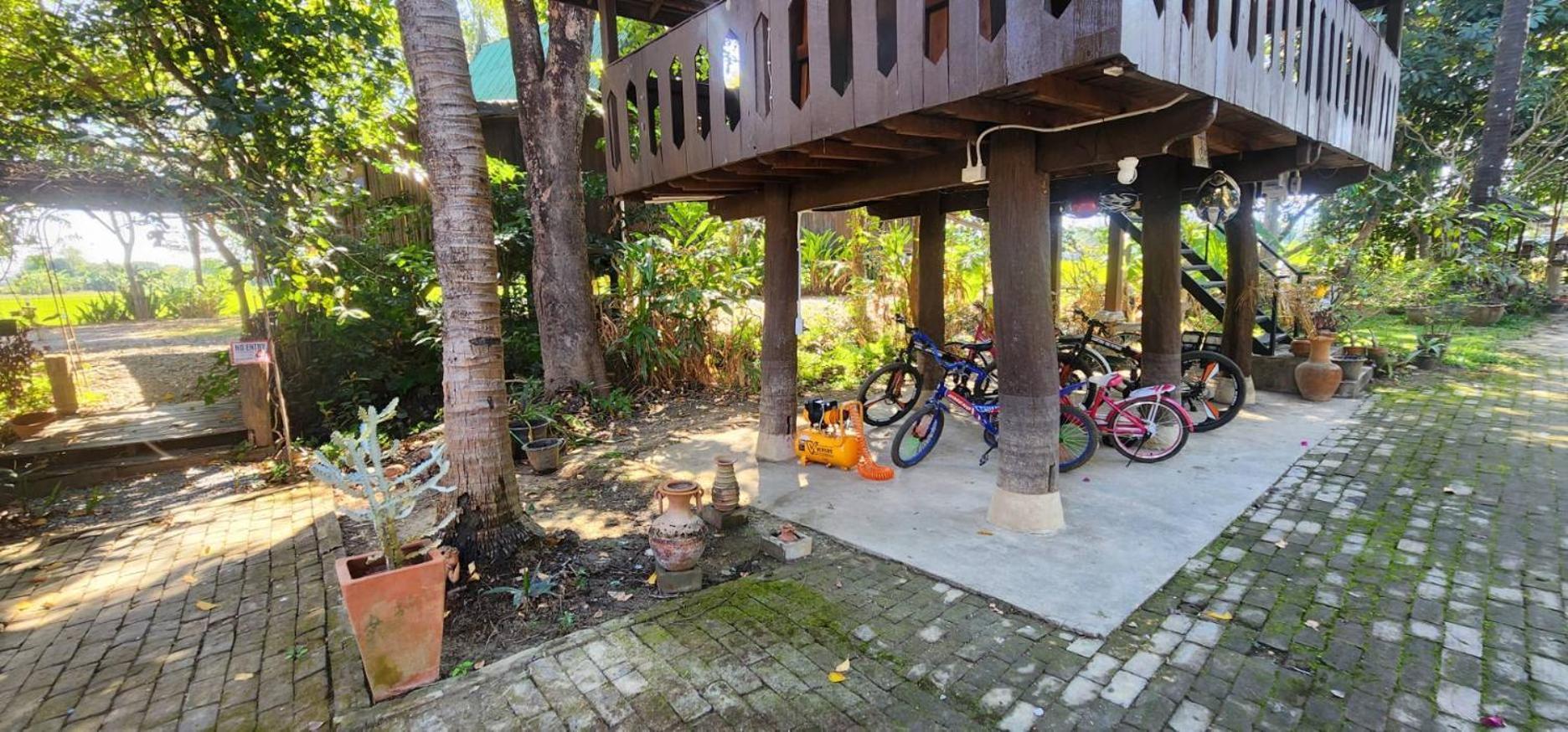 Tung Tong Homestay & Camping Mae Rim Exterior photo