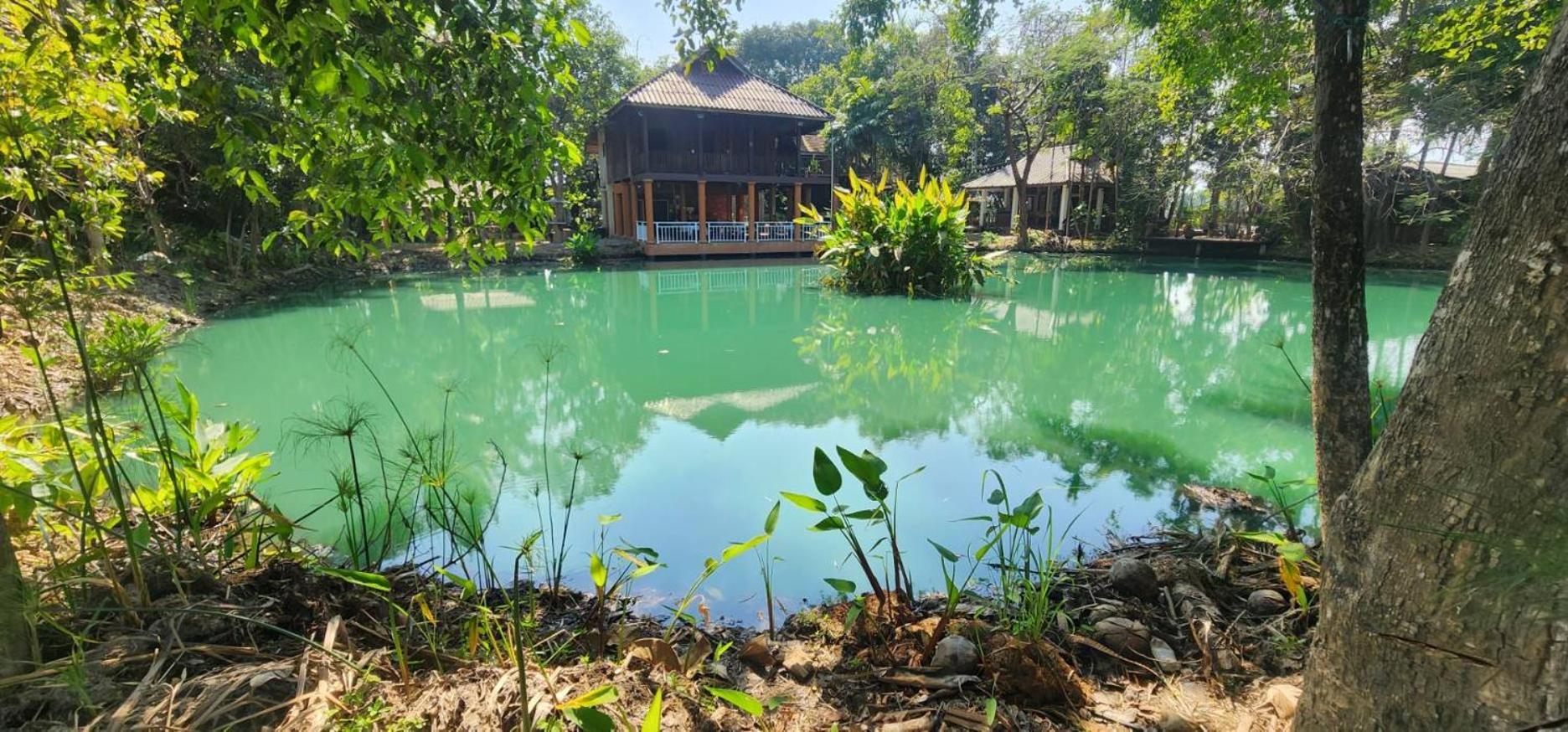Tung Tong Homestay & Camping Mae Rim Exterior photo