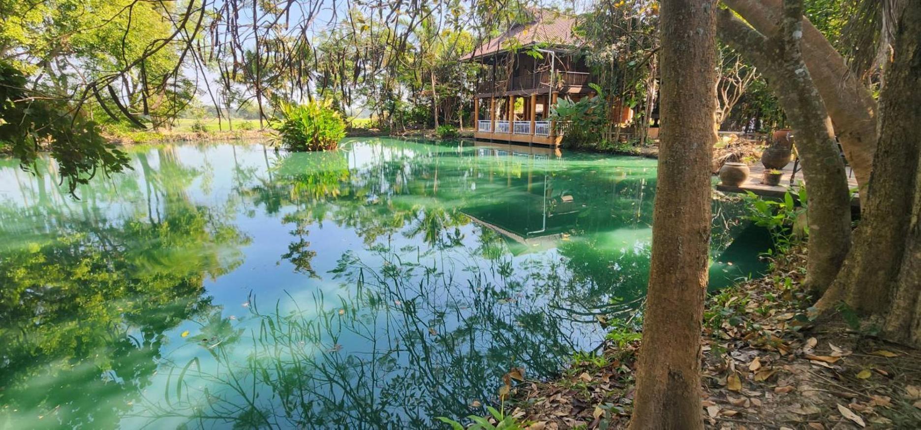 Tung Tong Homestay & Camping Mae Rim Exterior photo