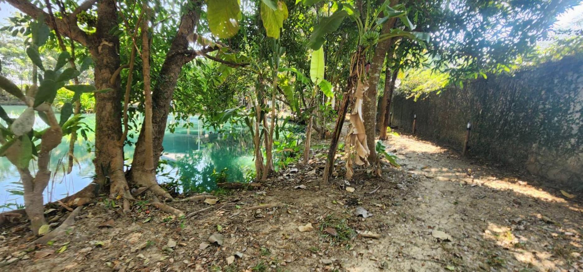 Tung Tong Homestay & Camping Mae Rim Exterior photo