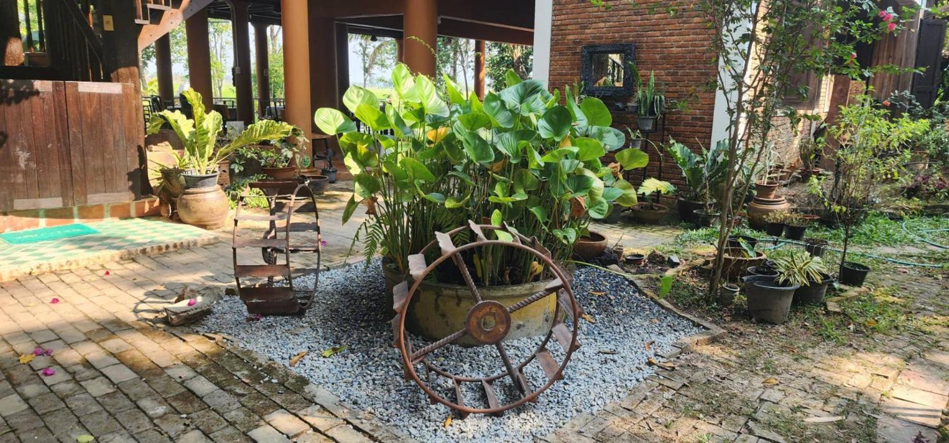 Tung Tong Homestay & Camping Mae Rim Exterior photo