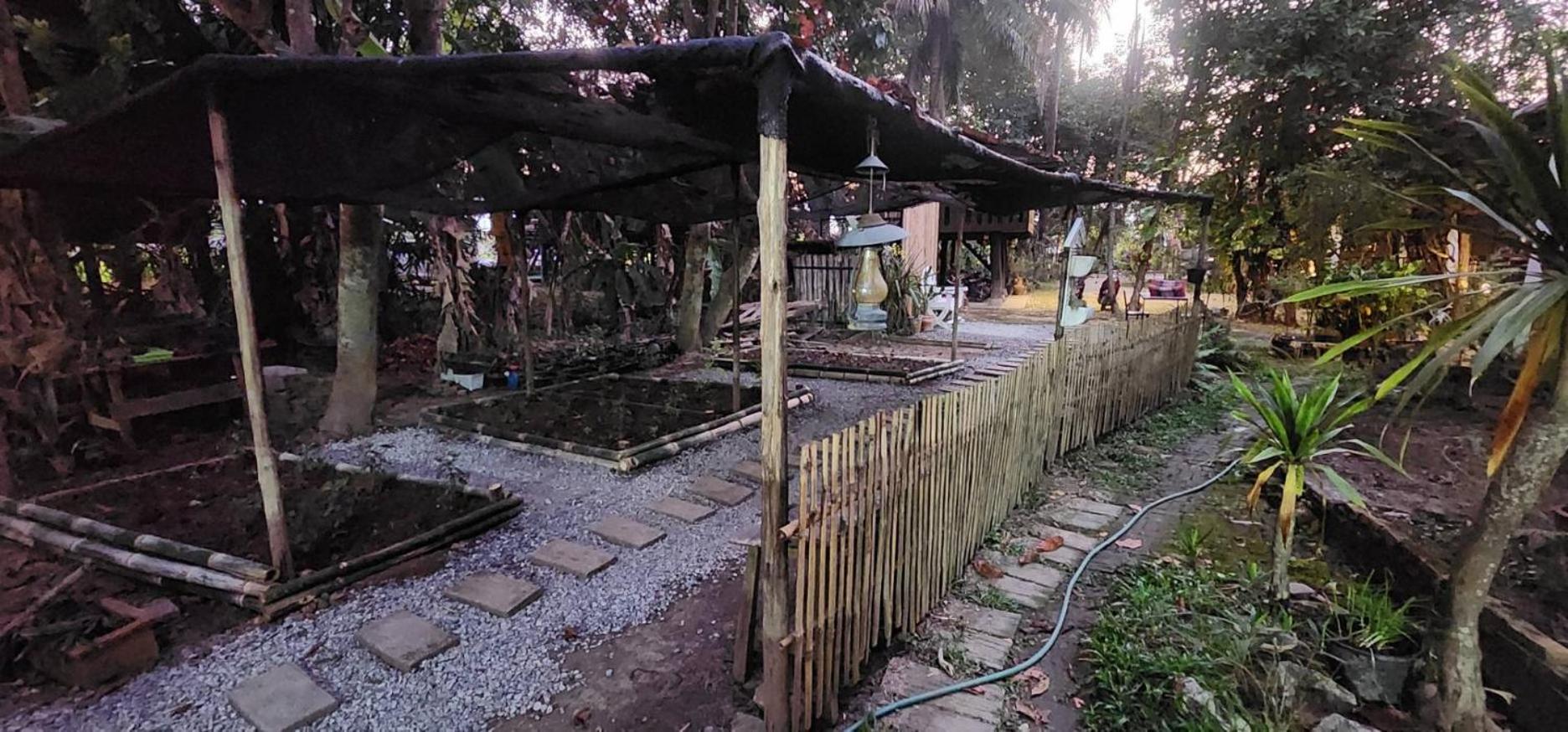 Tung Tong Homestay & Camping Mae Rim Exterior photo