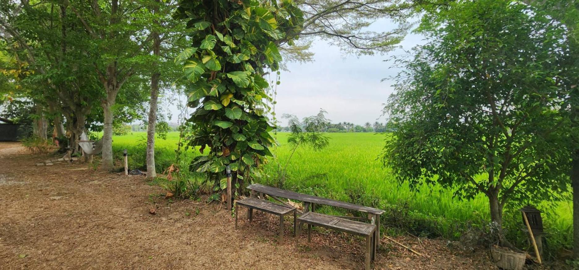 Tung Tong Homestay & Camping Mae Rim Exterior photo