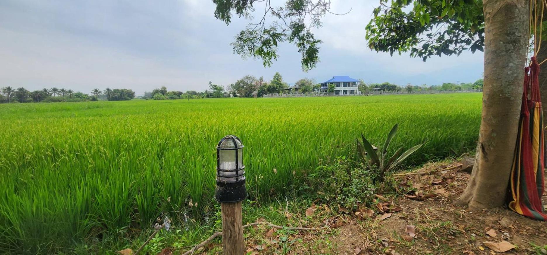 Tung Tong Homestay & Camping Mae Rim Exterior photo